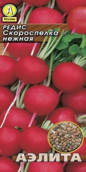 Редис Скороспелка нежная